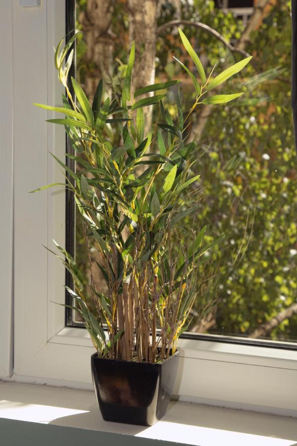 ! PROMO! Central Evergreen Studio - Free Public Parking-Fast WI-FI - Chambres d’hôtes Novi Sad