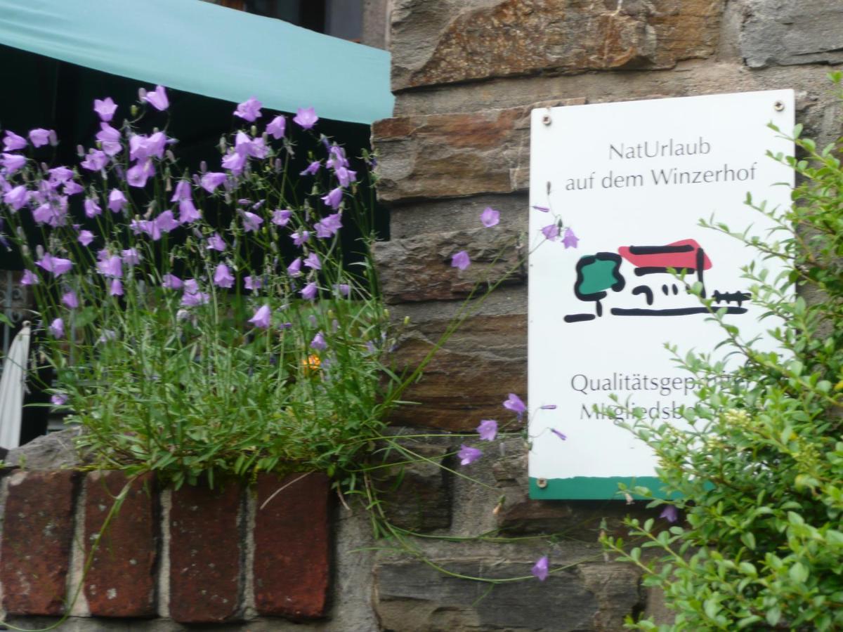 Gutshof Zenz - Ferienwohnung Ediger-Eller