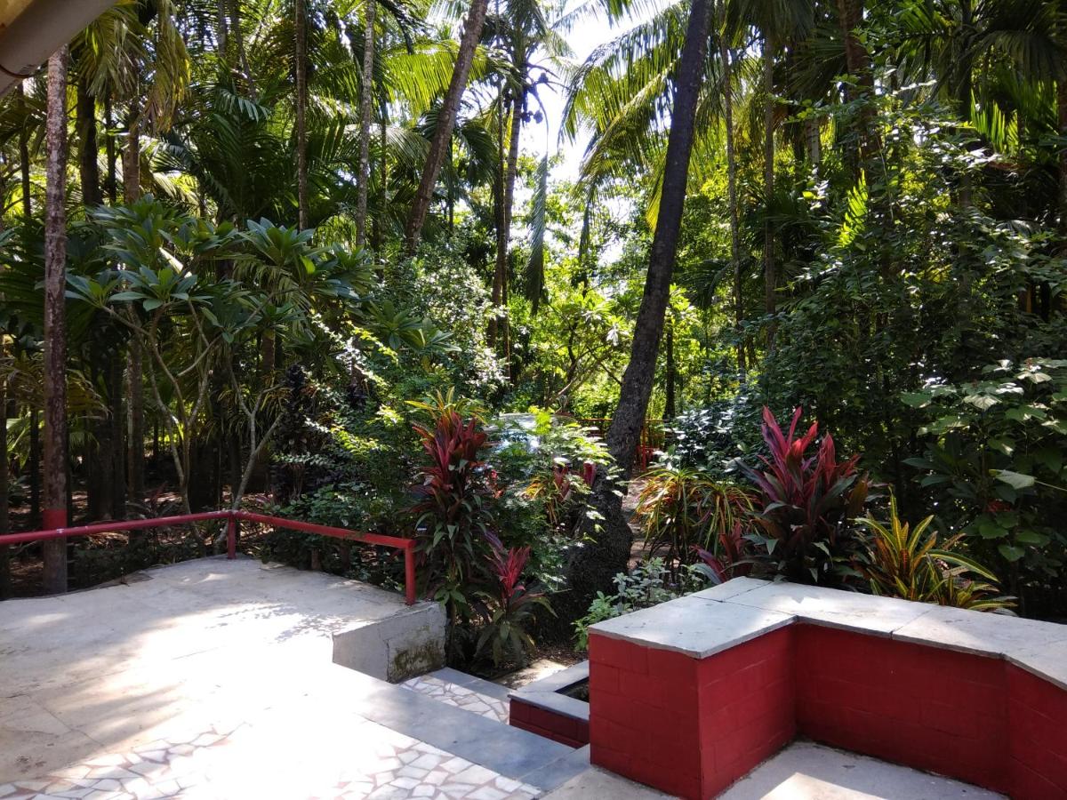 Bungalow avec Terrasse