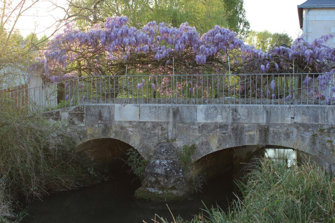 Un petit coin de paradis - B&B Champigny-sur-Veude