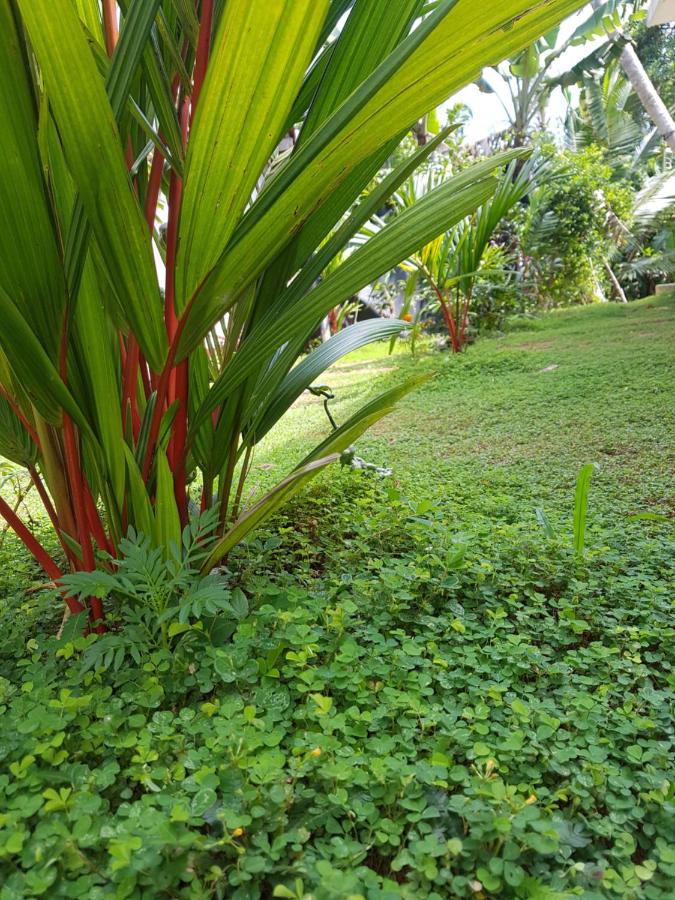 South Heaven Villa - Ferienwohnung Hikkaduwa