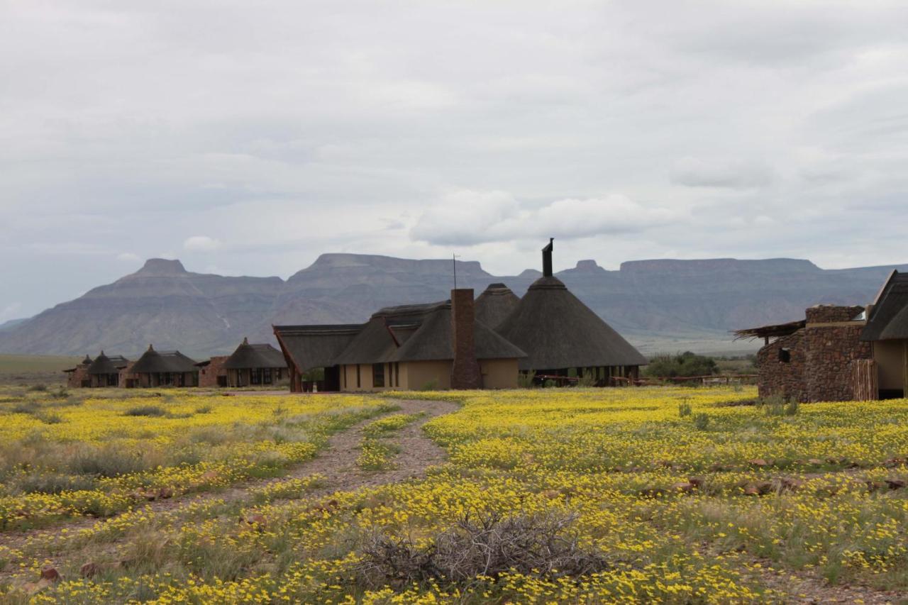 Hoodia Desert Lodge - B&B