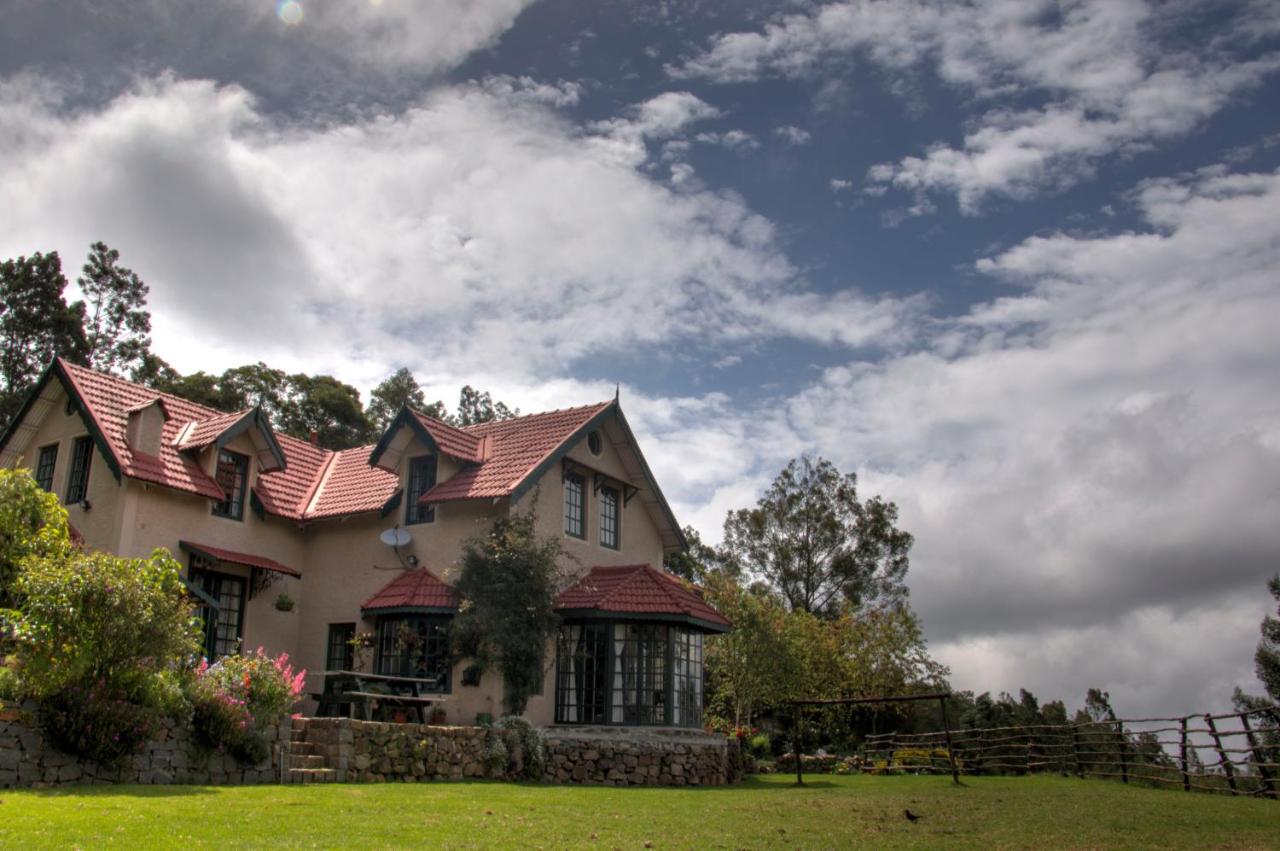 Suite with Mountain View