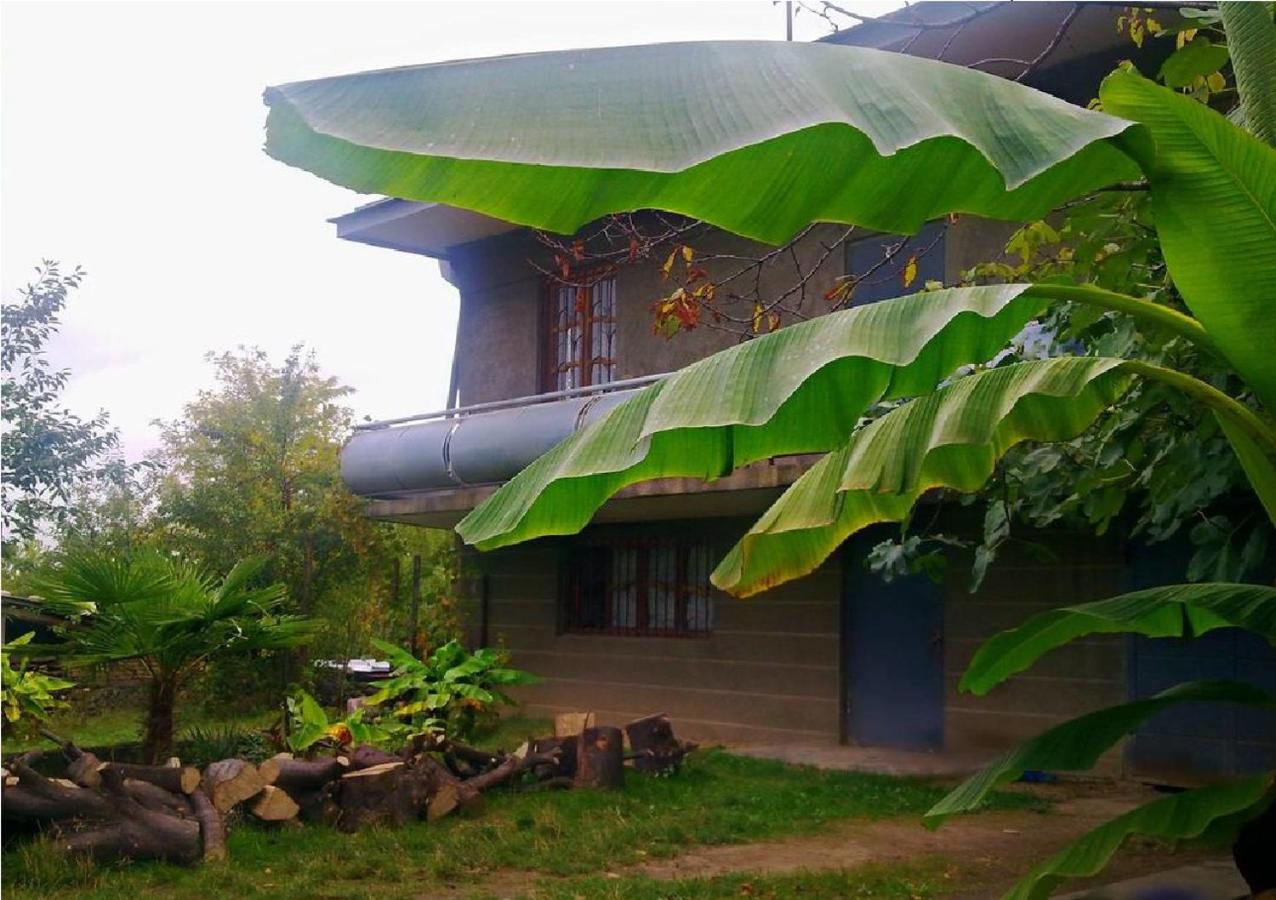 Farmer's Guest House - B&B Telavi