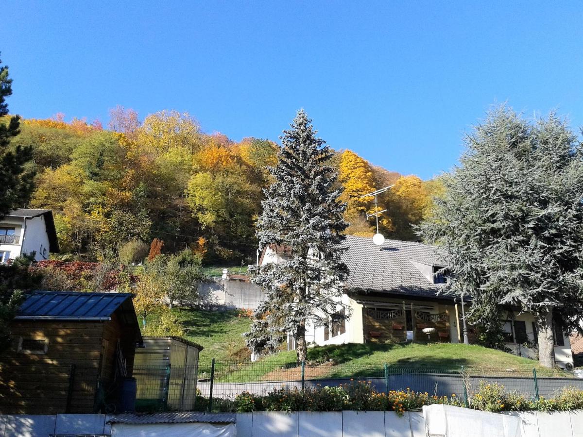 B&B Ma Maison Hautes Vosges - Ferienwohnung Ranspach