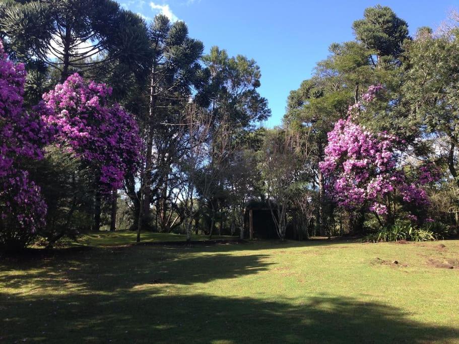 Refúgio da natureza - Ferienwohnung São Francisco de Paula