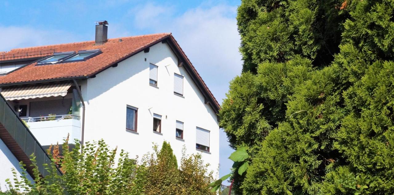 BodenSEE Apartment Friedrichshafen "DACHTERRASSE" - Ferienwohnung