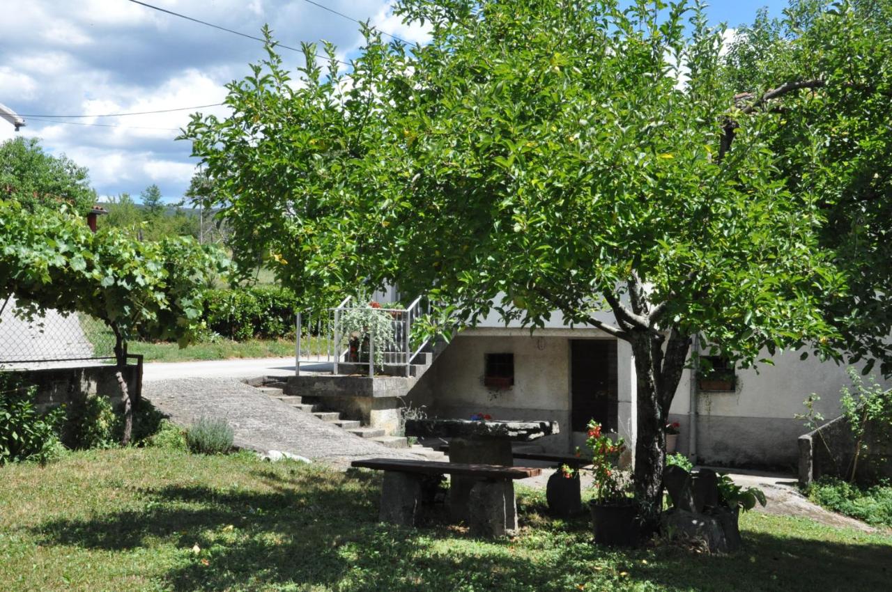 Apartment Marioni - B&B