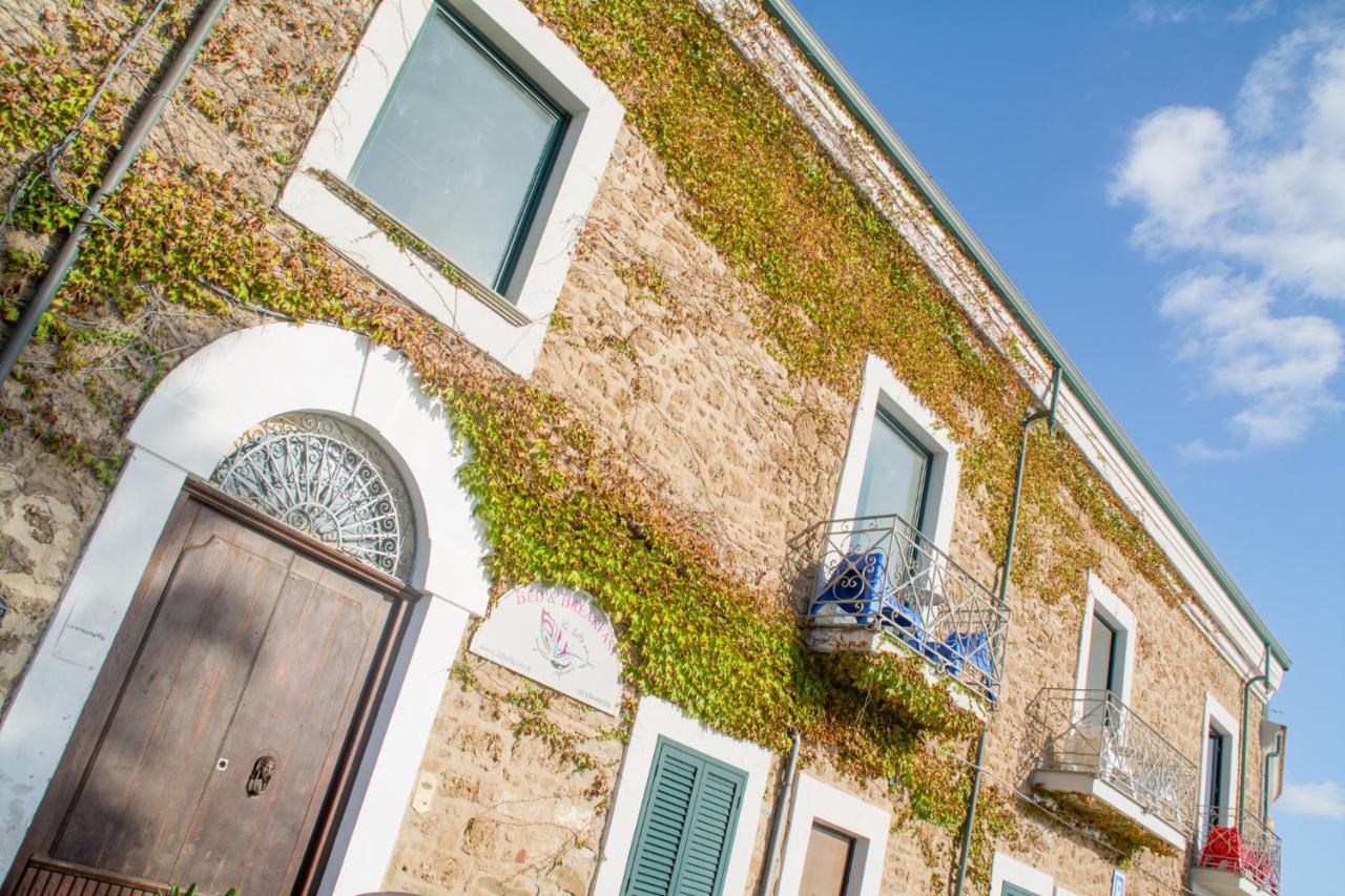 La Belle Vie B&B - B&B