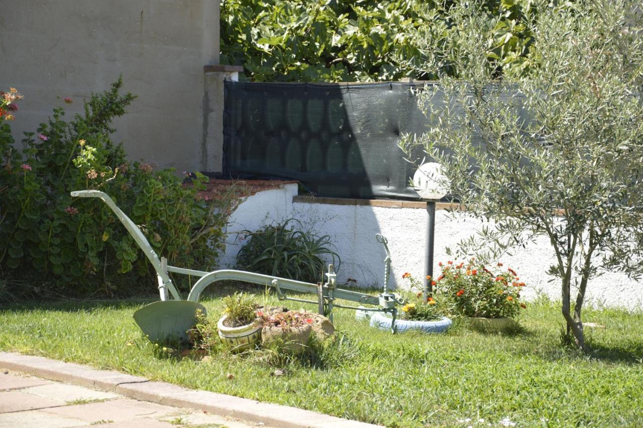 Case Vacanza Sa Mitza - Chambres d'hôtes Villamassargia
