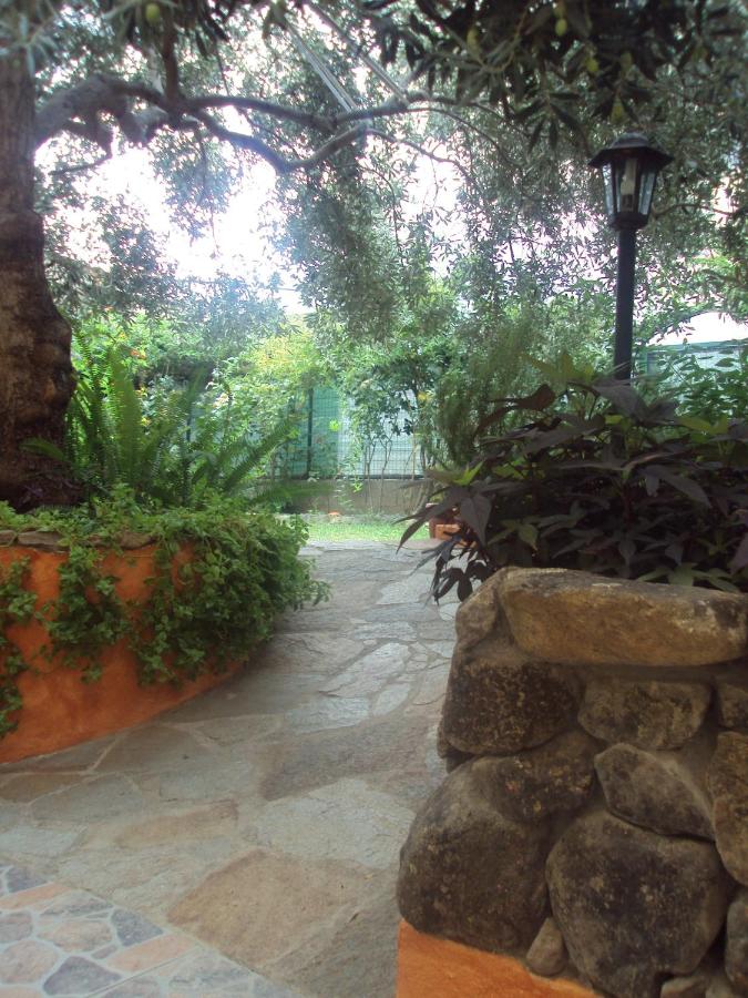 B&B Dimora Degli Ulivi - Bed and Breakfast Muravera