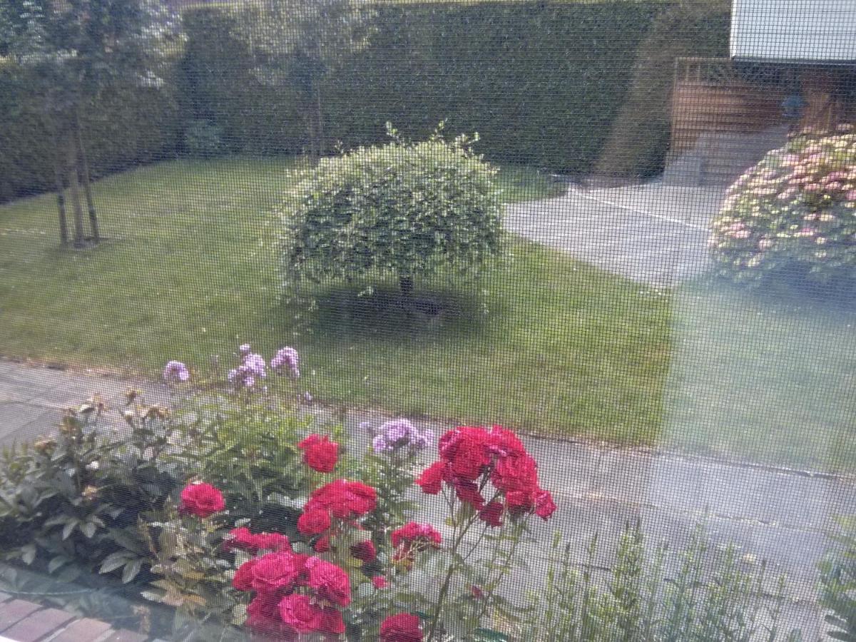 Südwind - B&B Obenende
