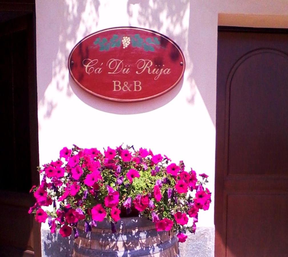 Cà Du Ruja - Ferienwohnung Strevi