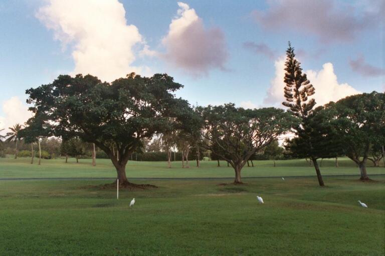 B&B Kahuku - Hale Mokulani Condo - Bed and Breakfast Kahuku