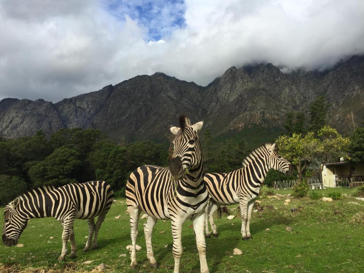 Franschhoek Country Cottages - Ferienwohnung