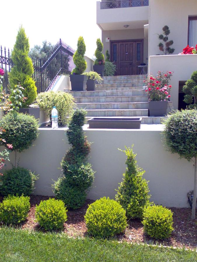 Villa Markos - B&B