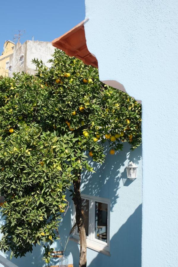 B&B Lisbon - Proa d'Alfama Guest House - Bed and Breakfast Lisbon