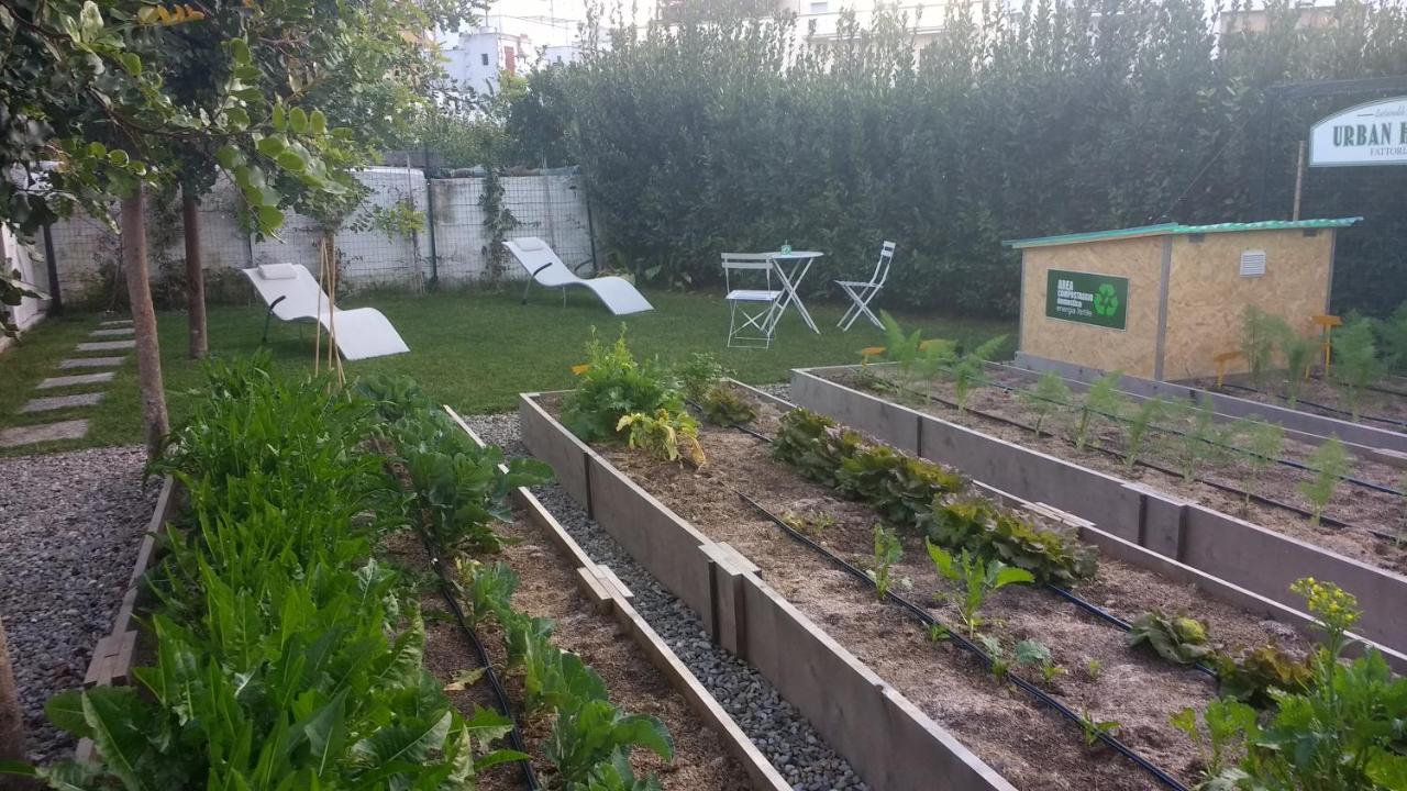 Masseria Urbana - B&B Crispiano