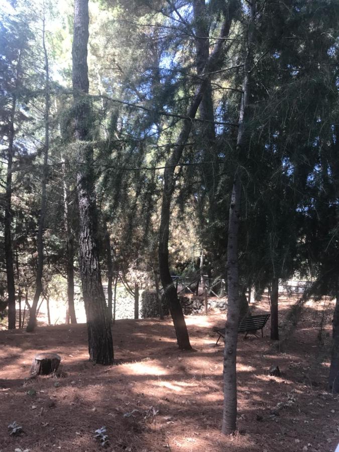 Casa Vacanze Etna - Bed and Breakfast Piedimonte Etneo