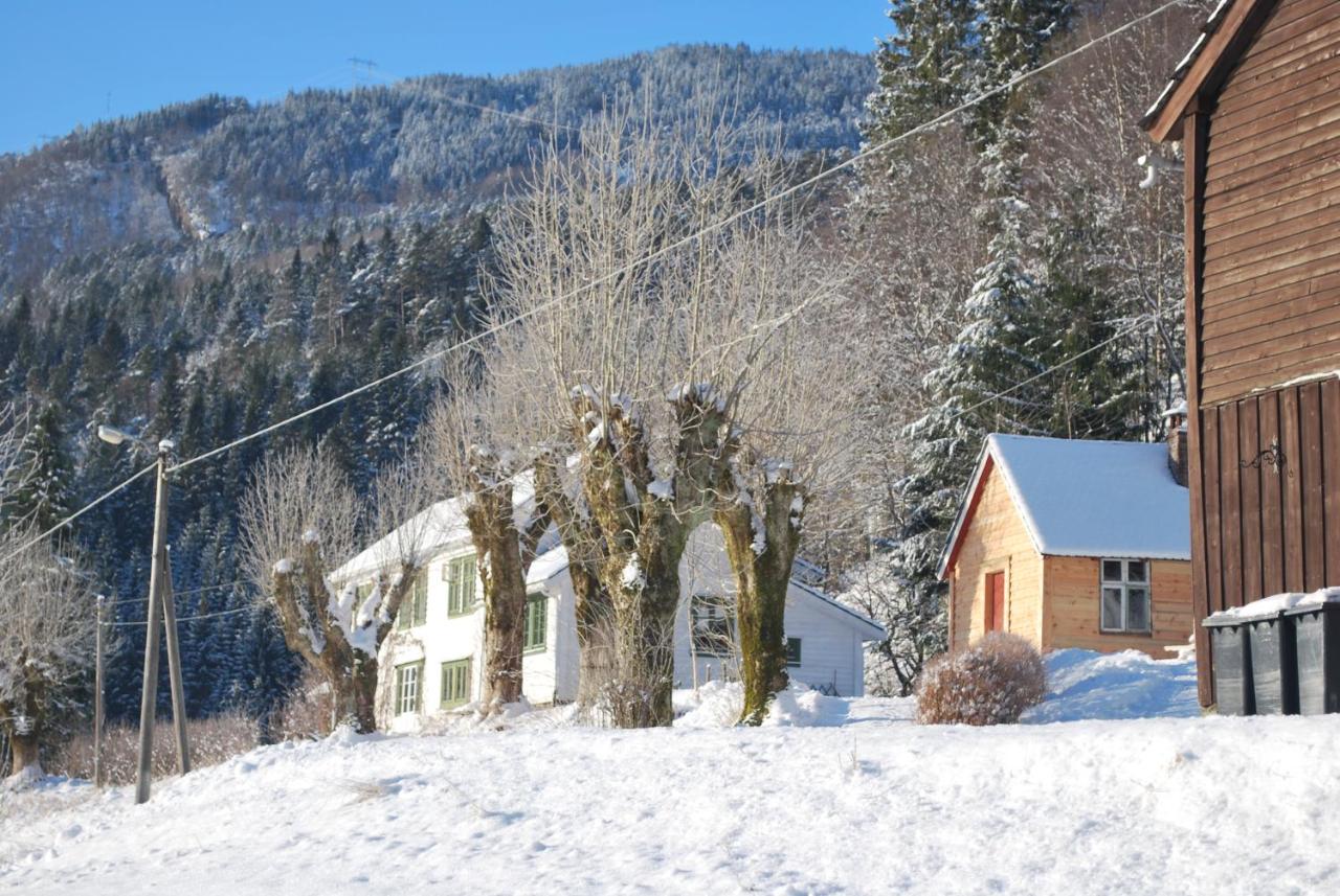 Rongen gard - B&B Bolstadøyri