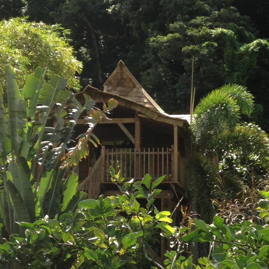 Cabane dans les Arbres