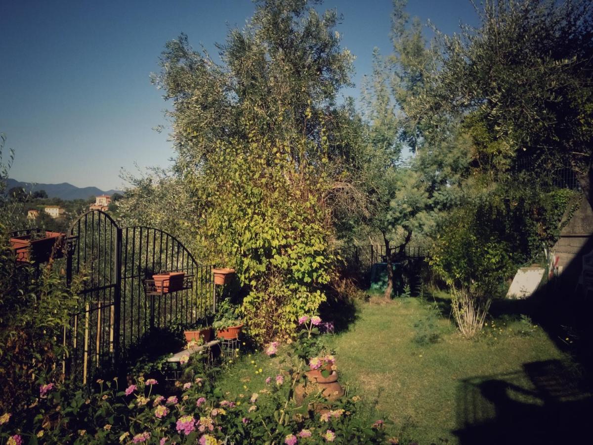 Ai Canarbin - colline di Lerici - B&B