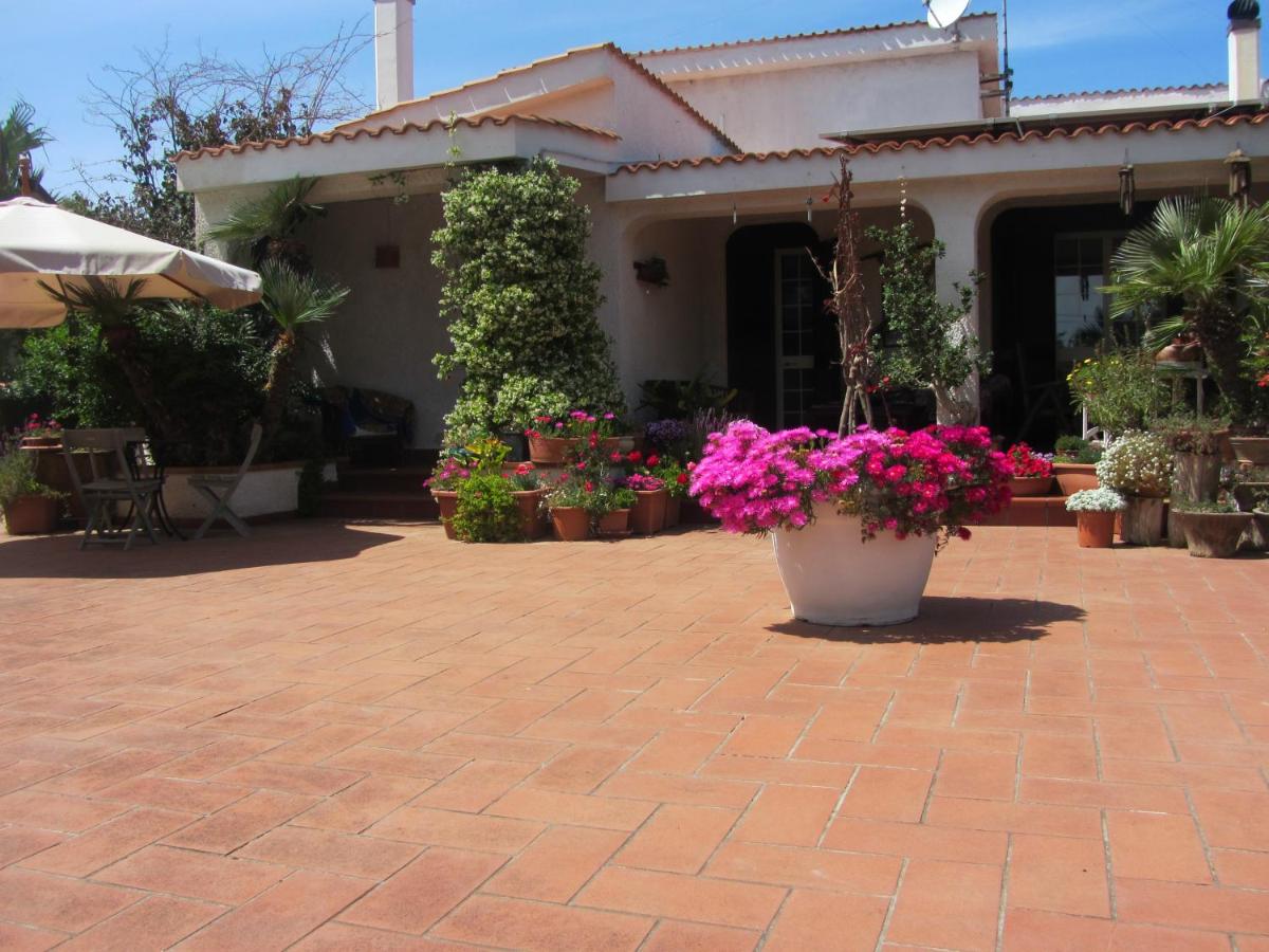 Sole e Sale B&B - B&B