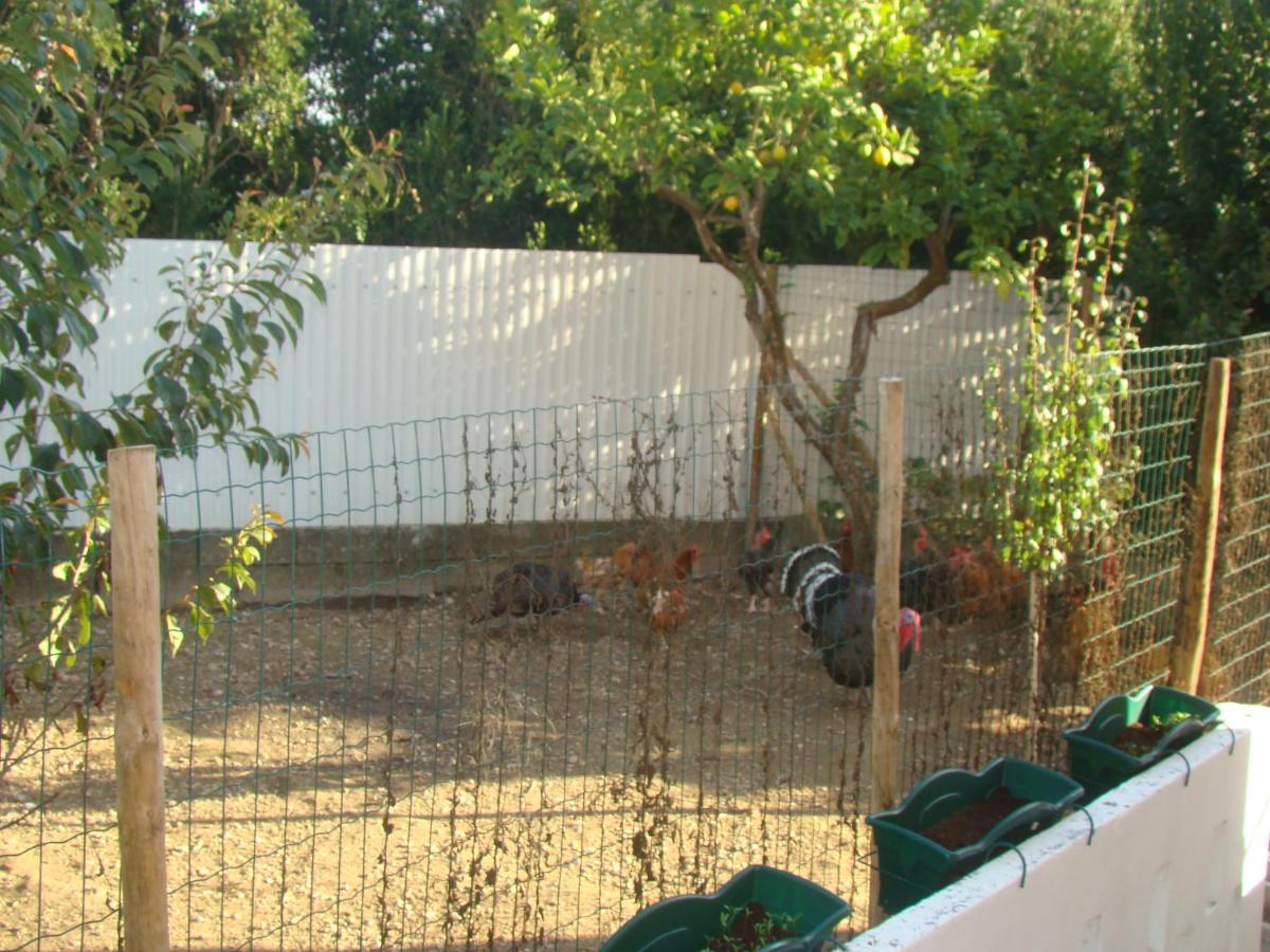 Vivenda tilia - B&B Pernes