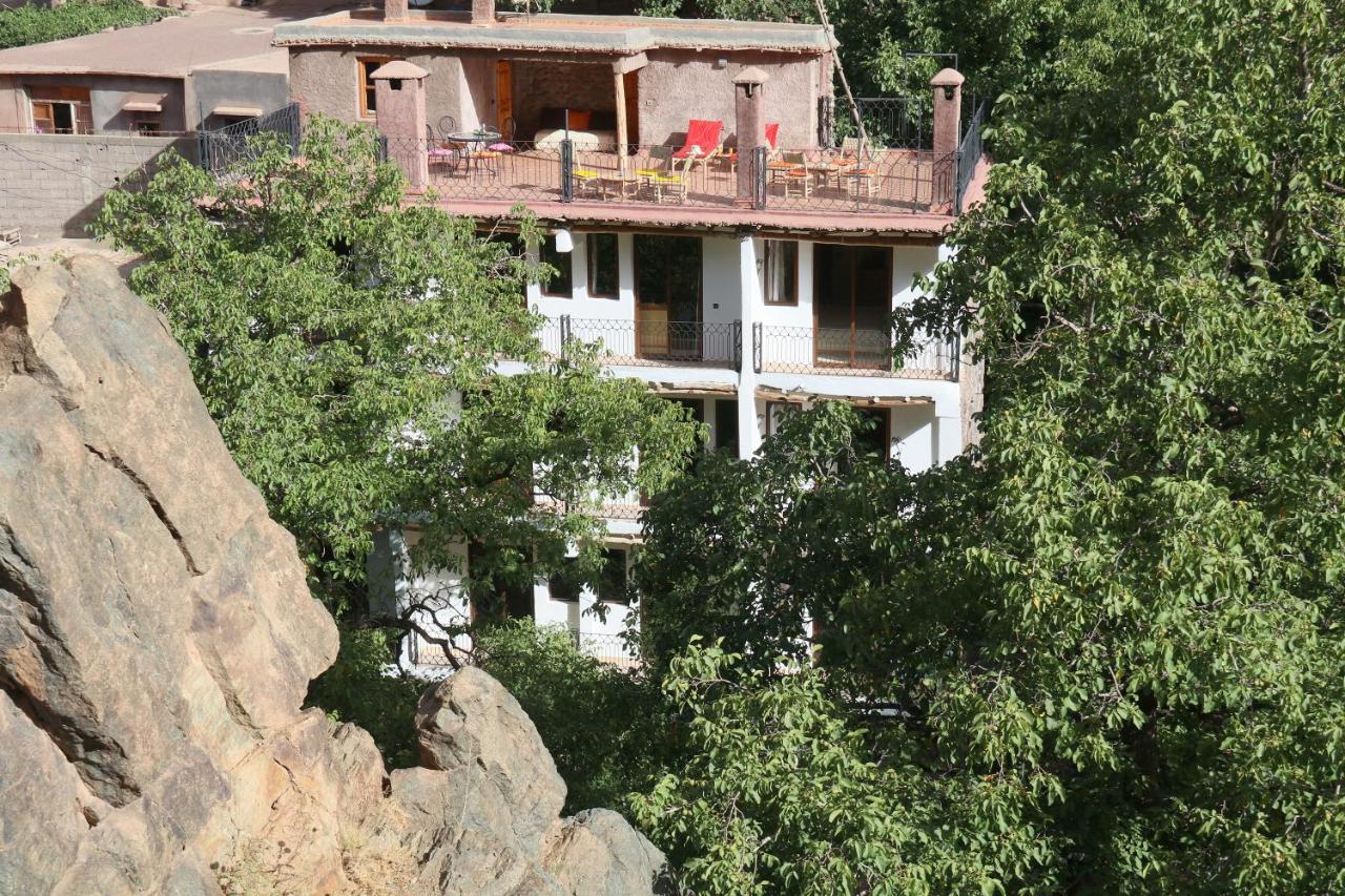 Hiba Lodge - B&B