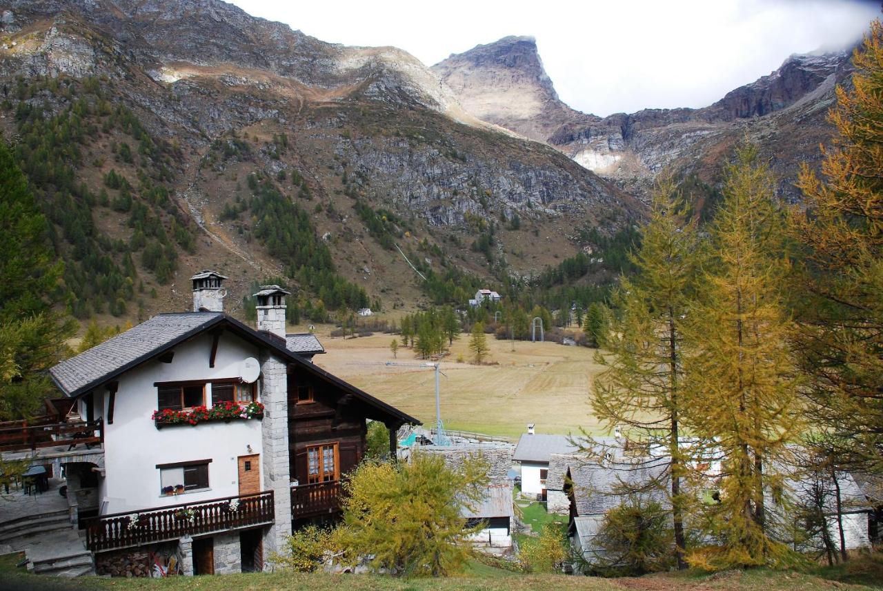 B&B Alpe Devero - Chalet Stella Alpina - Bed and Breakfast Alpe Devero