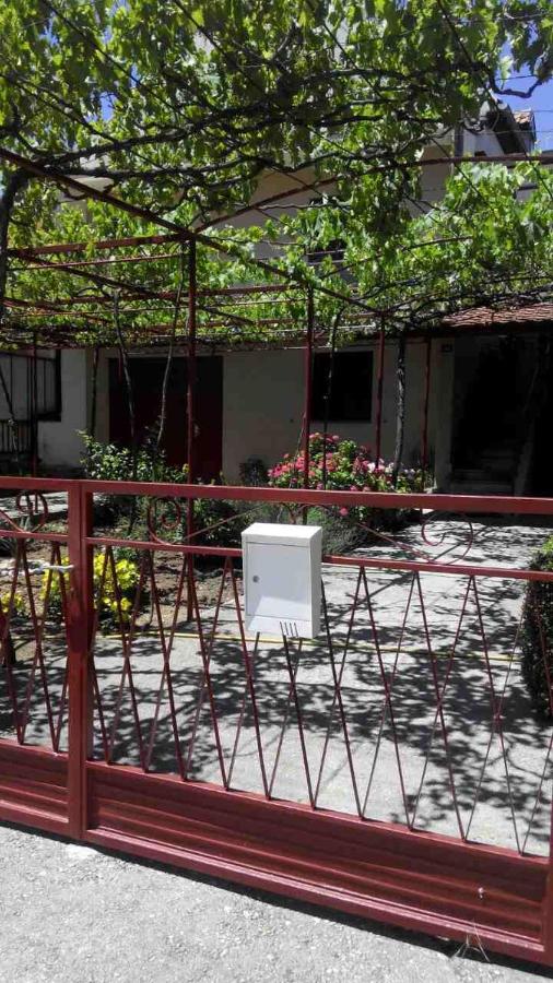 Rajka - B&B