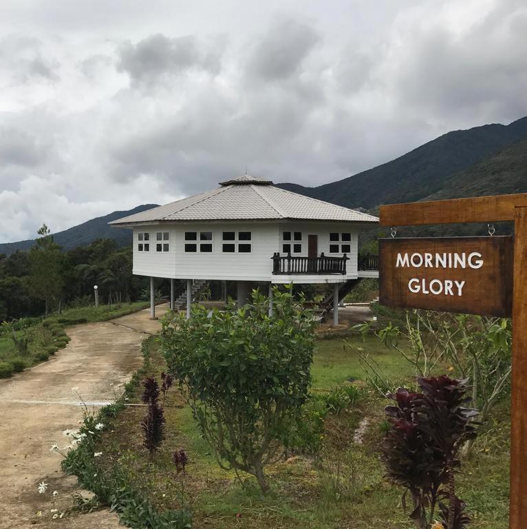 Morning Glory House