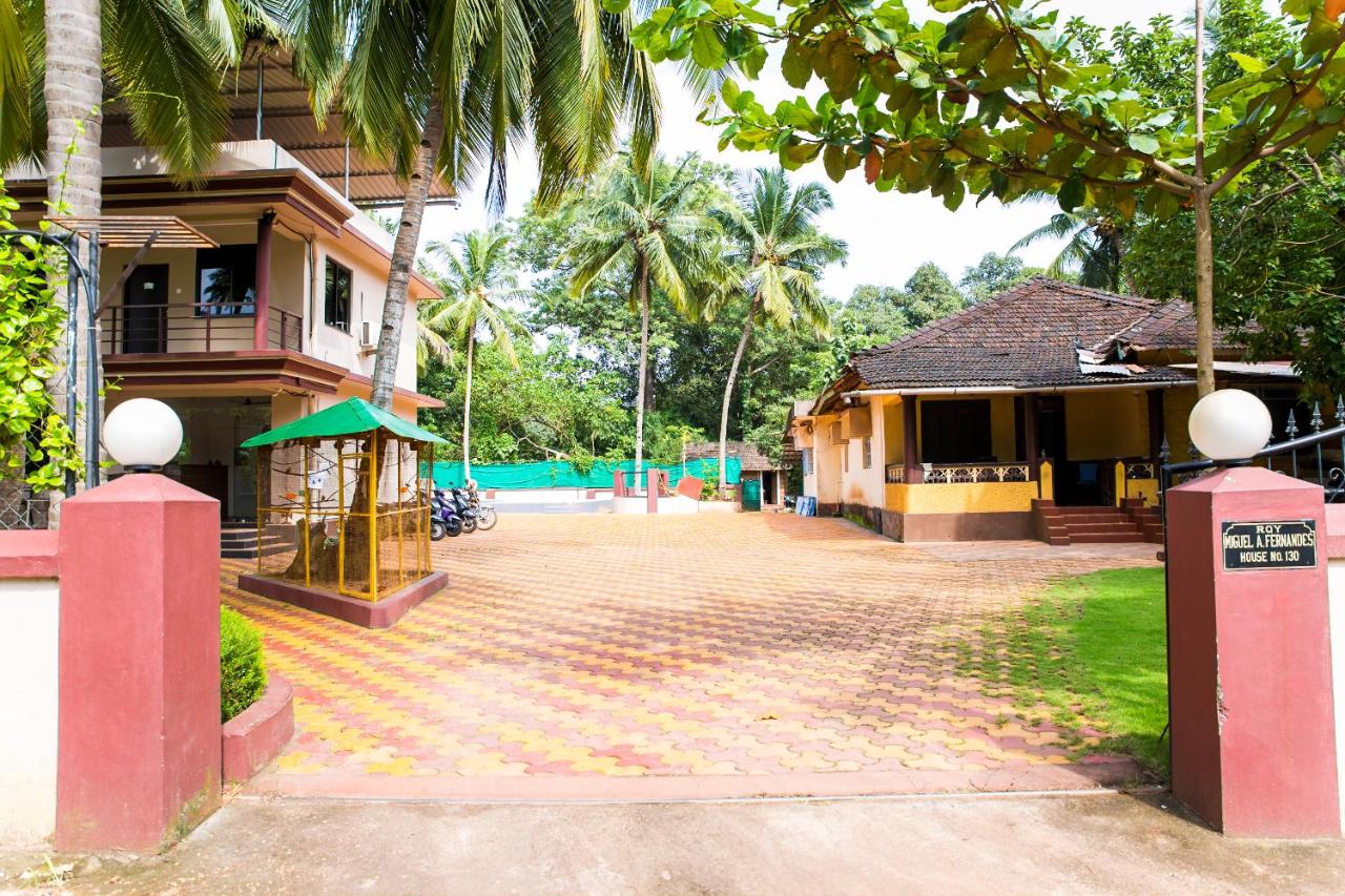 Lazy Frog Guest House - B&B