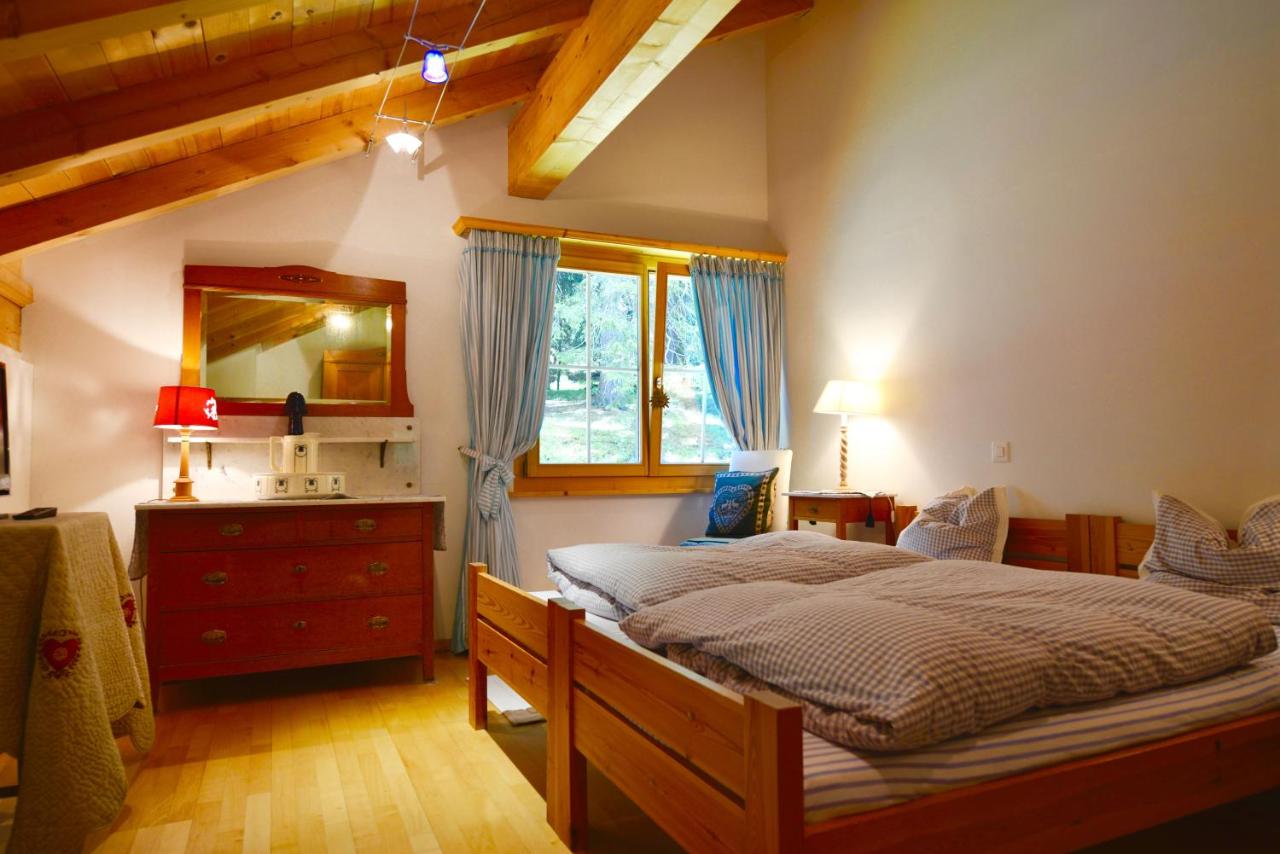 One-Bedroom Apartment with Forest View