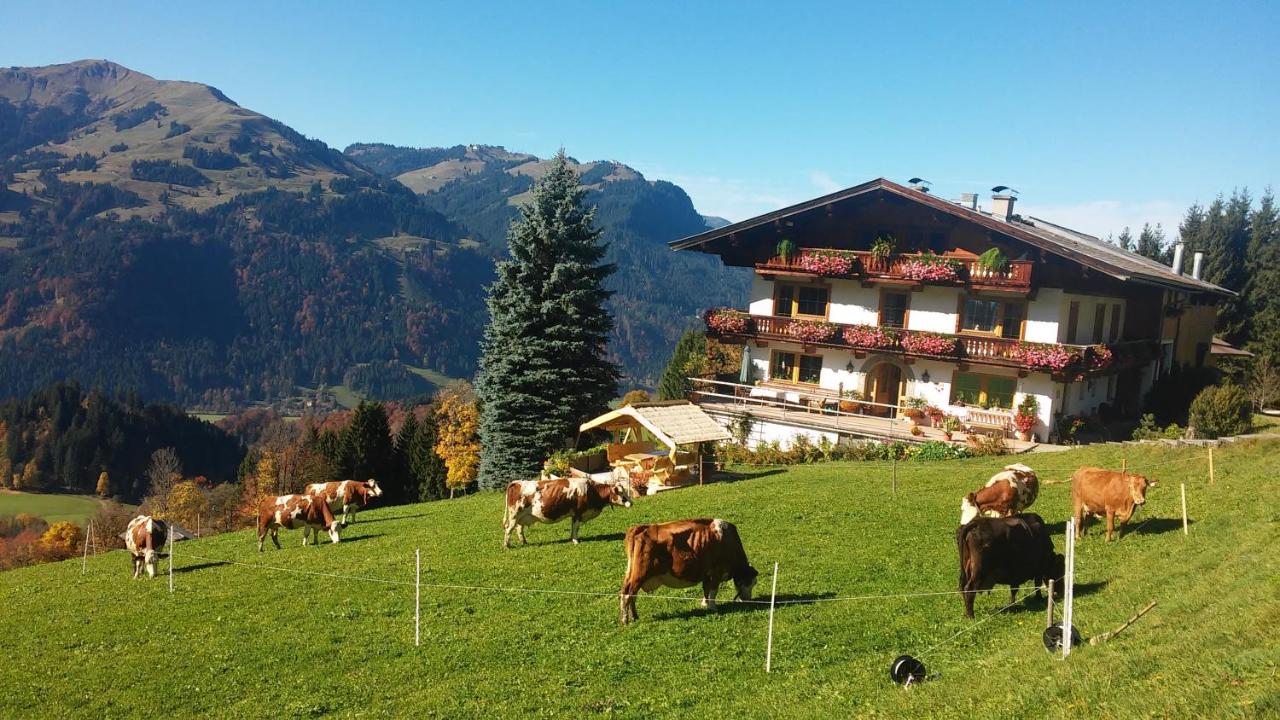 Hof Hamoos - Chambres d'hôtes Kitzbühel