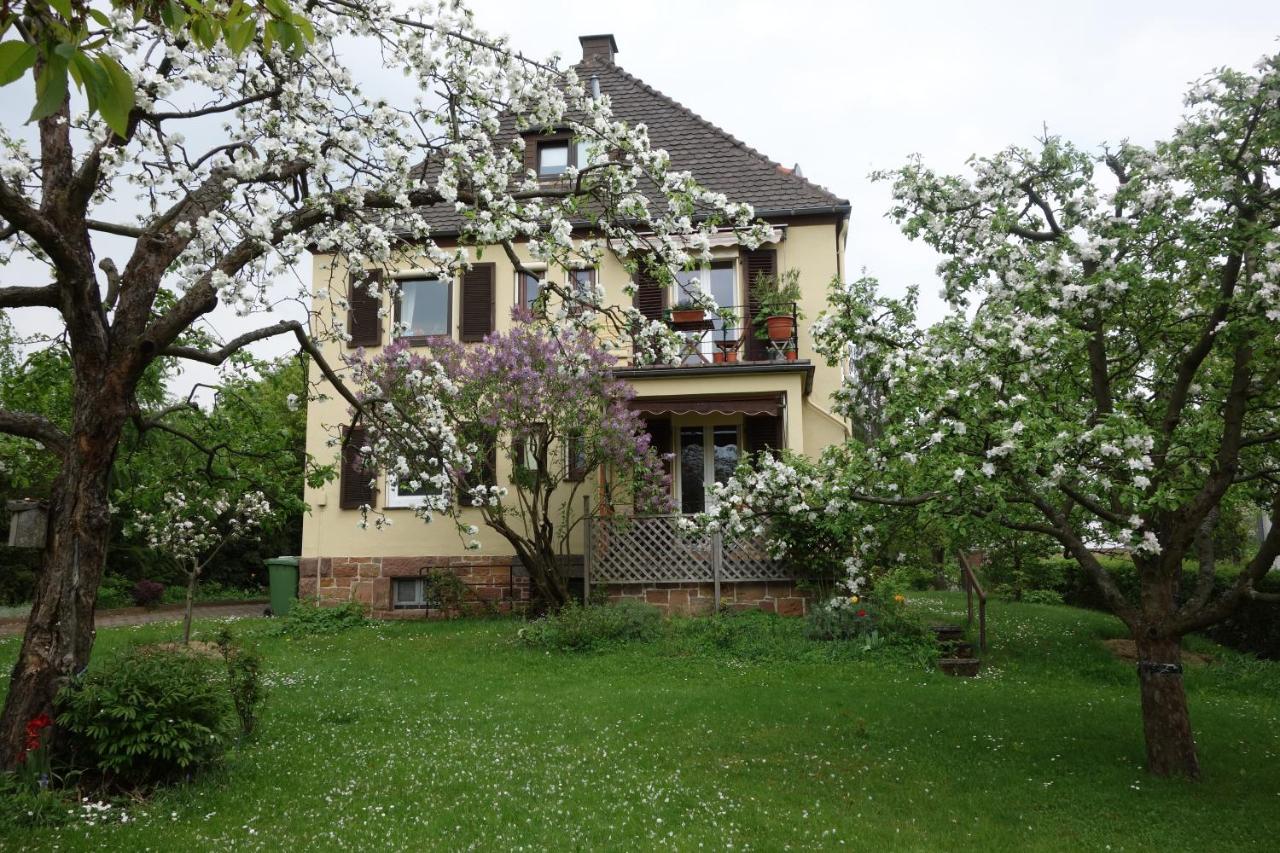 B&B Marbourg - Haus Victoria - Bed and Breakfast Marbourg