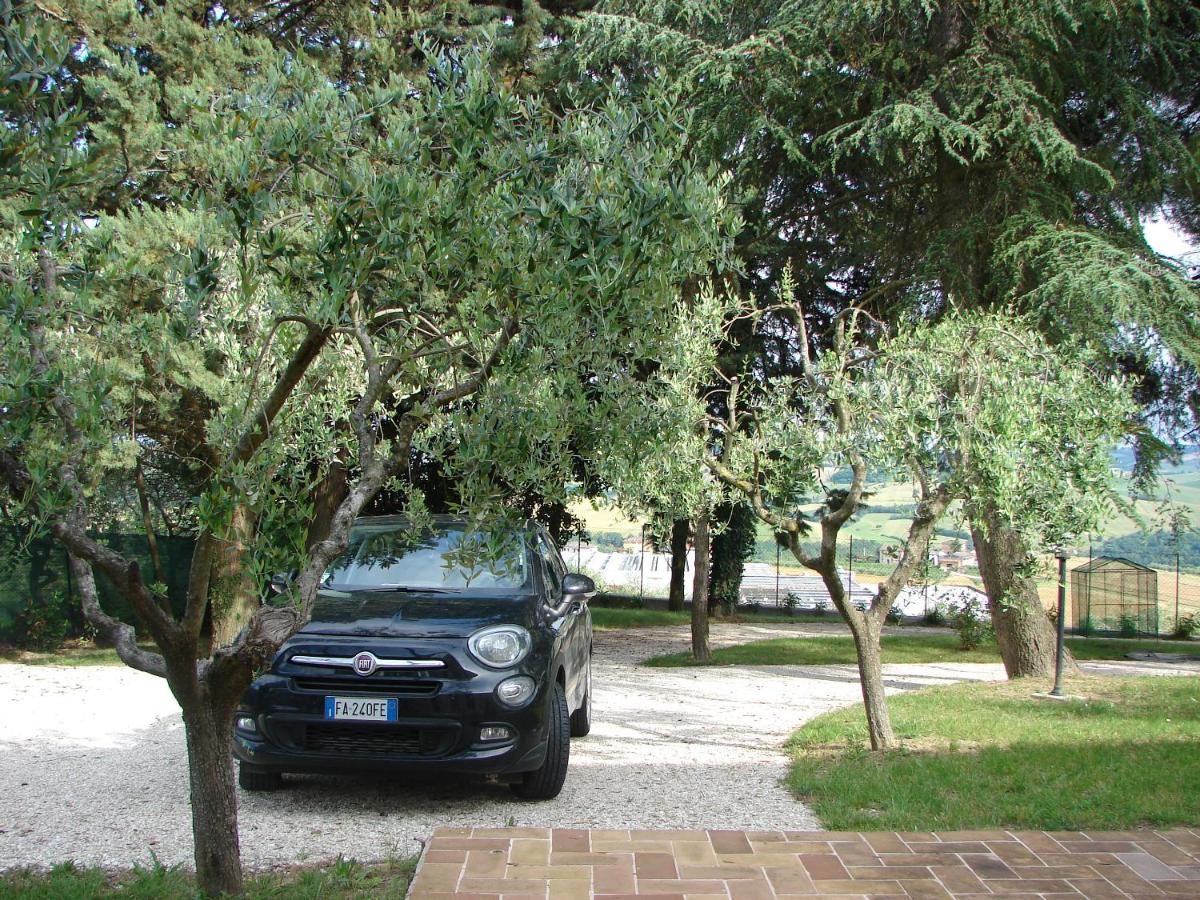 B&B Mogliano - Villa Poggio San Pietro - Bed and Breakfast Mogliano