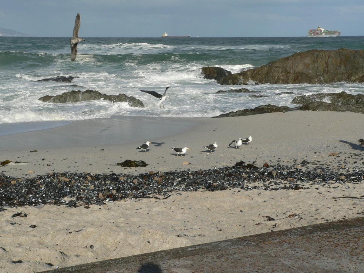 Bloubergviews - Ferienwohnung Bloubergstrand