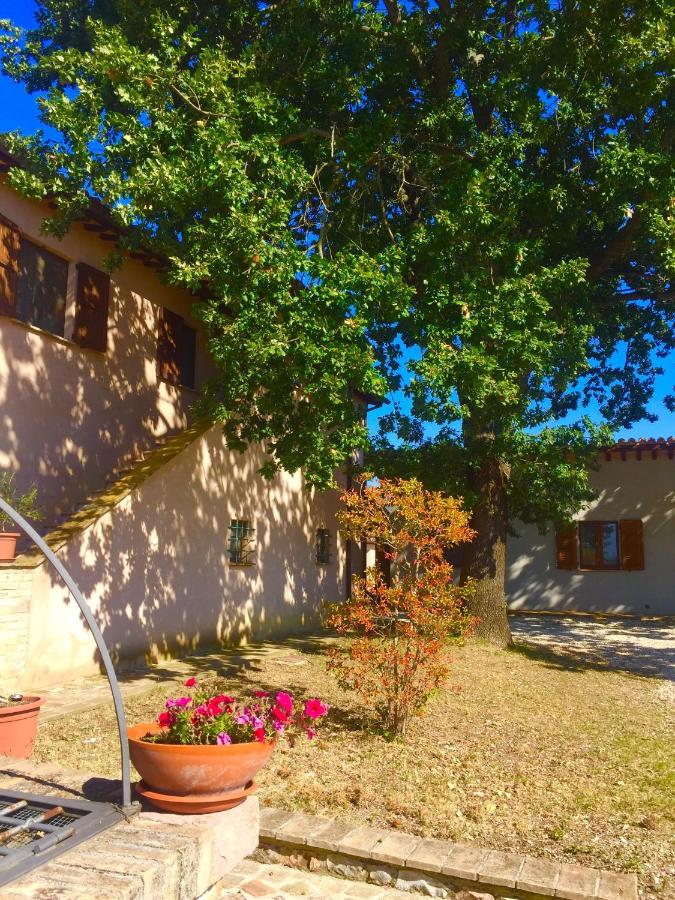 Le Ghiande - Ferienwohnung Spello