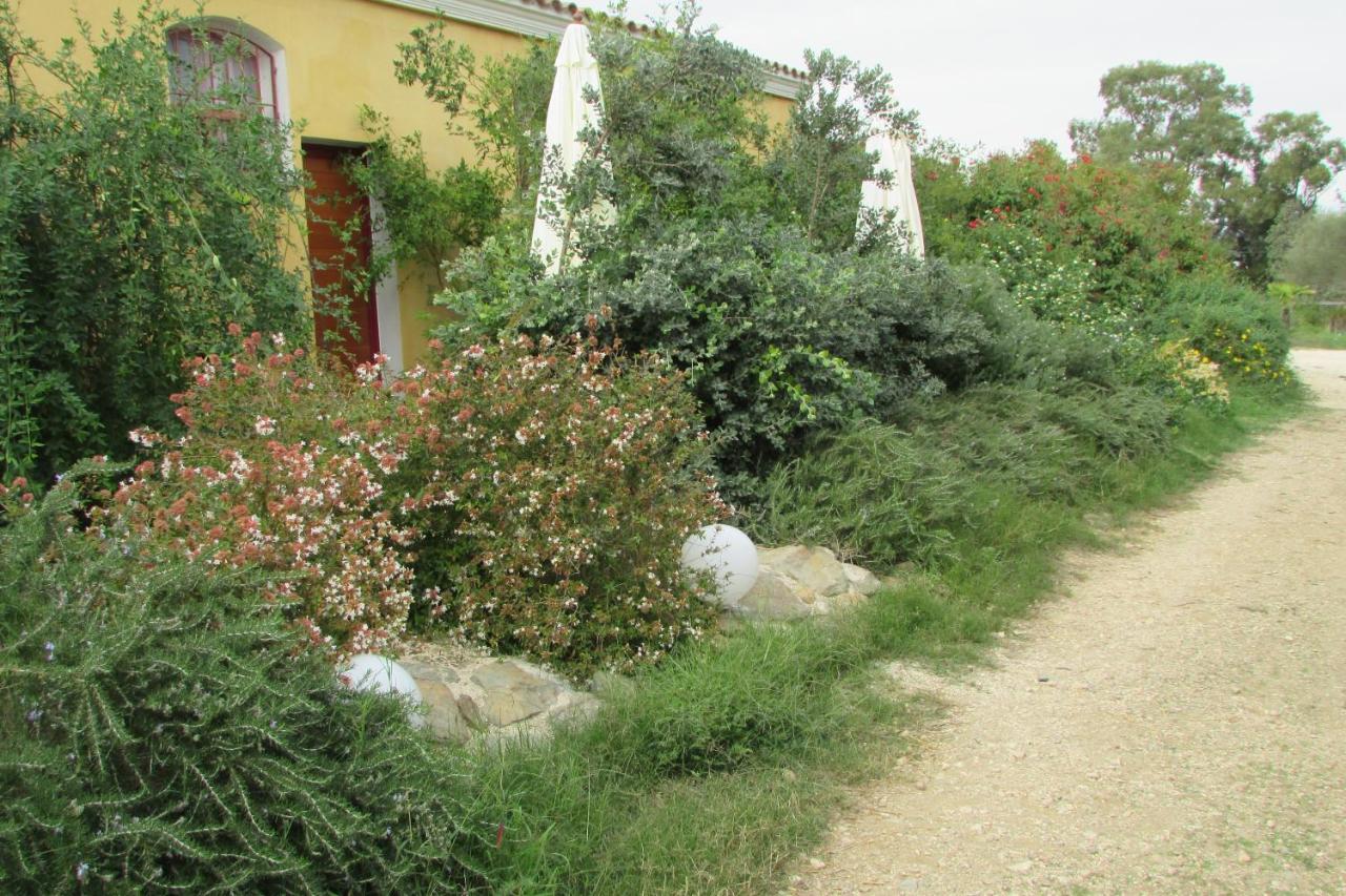 Cavalli di S'Arcaite - B&B