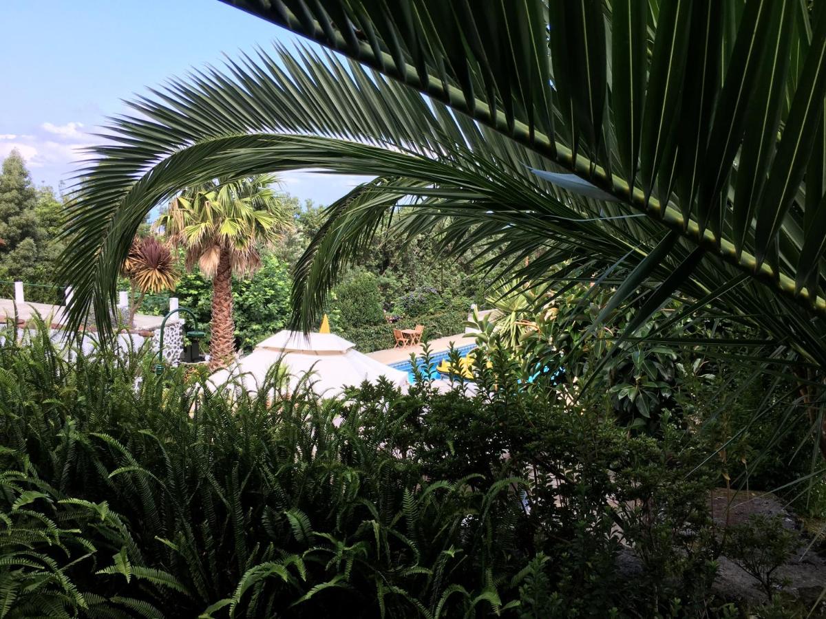 Quinta do Rossio, Rural Tourism - B&B Biscoitos