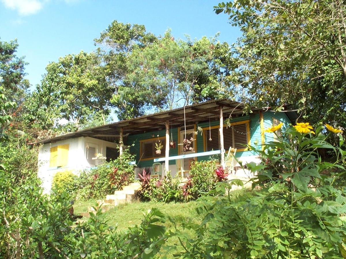Ecotopía Park - B&B