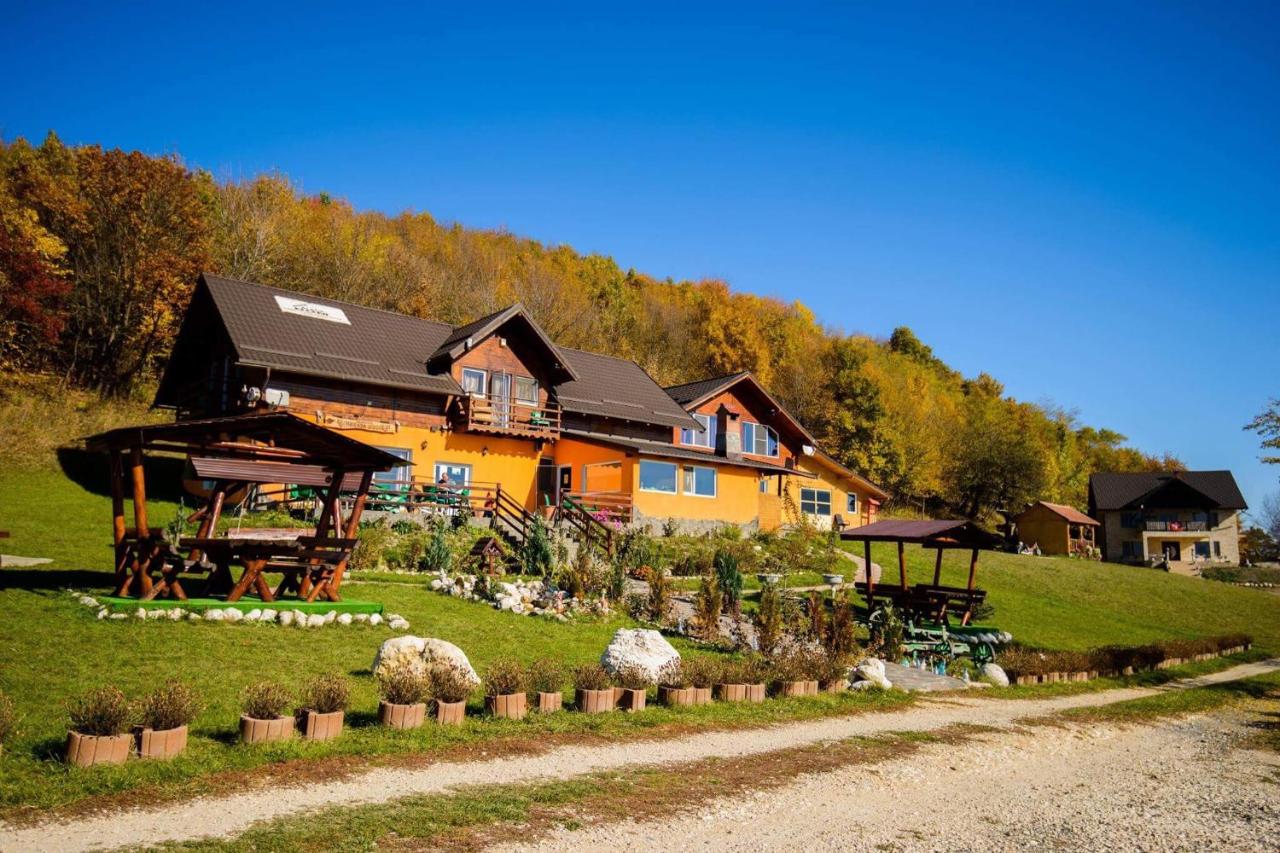 B&B Zarnesti - Dumbrava Ursului - Bed and Breakfast Zarnesti