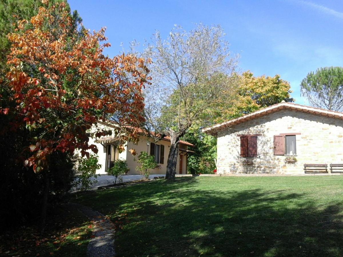 Apartment - Erdgeschoss