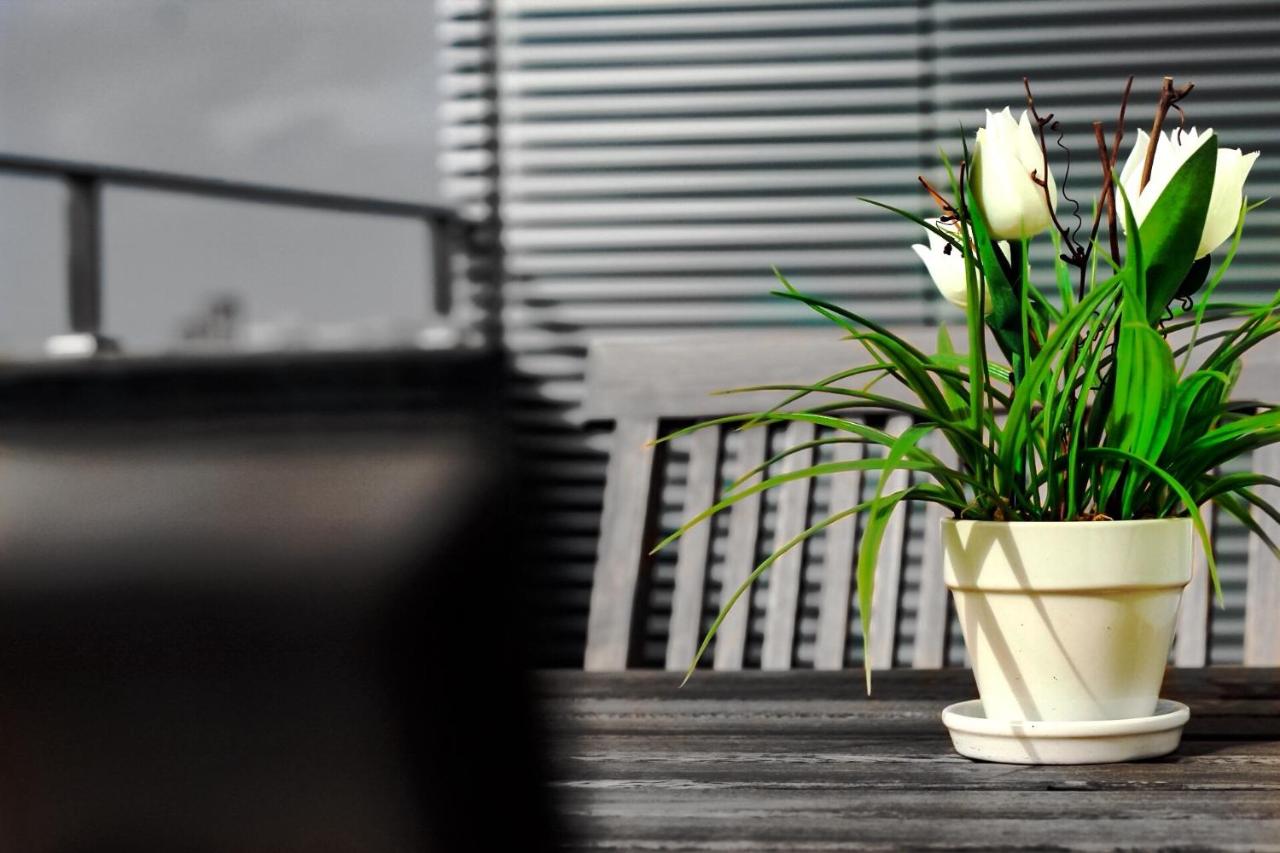 Apartamento da Lapa - B&B Oporto