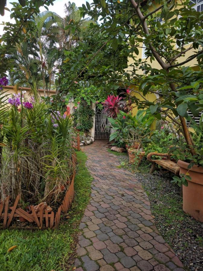 Orchid Cottage - B&B