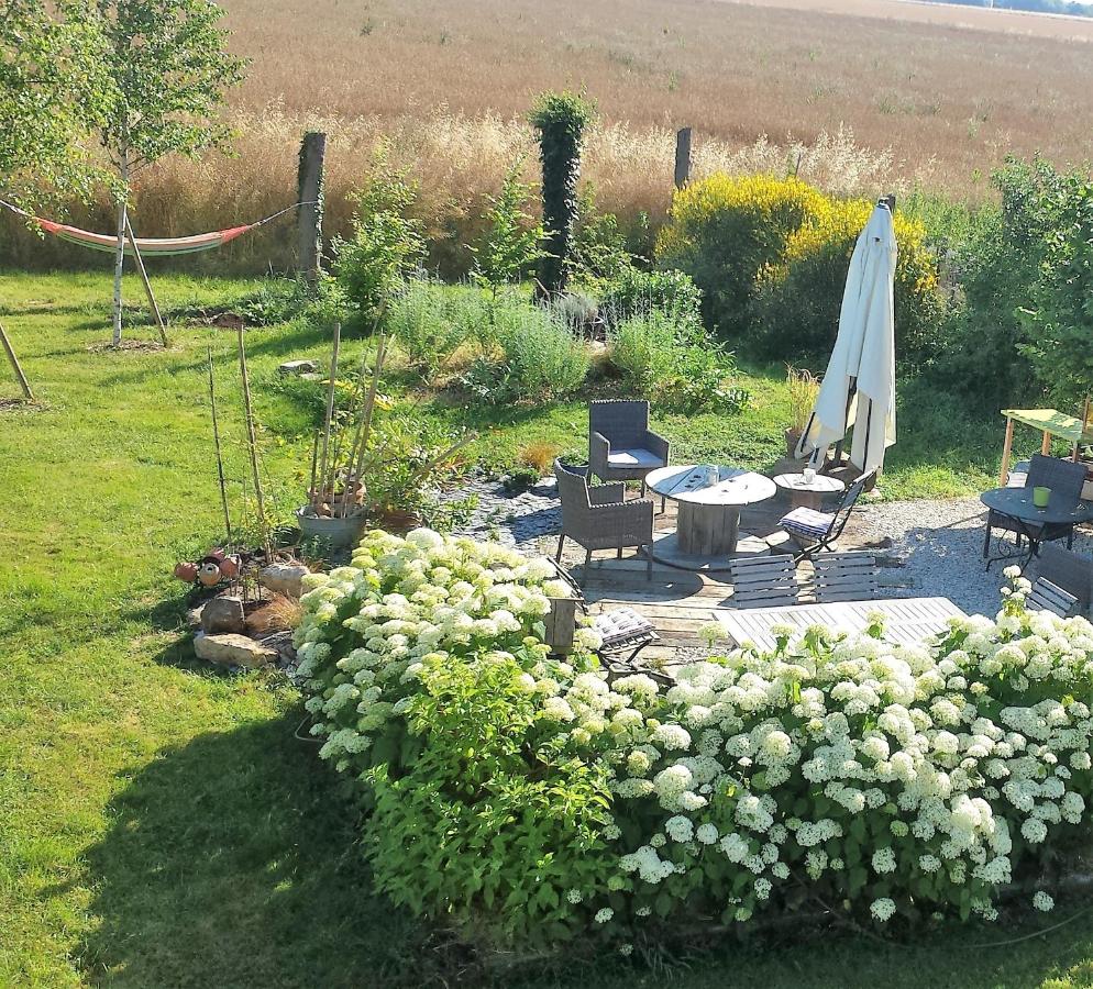 Le Briou - B&B Précy