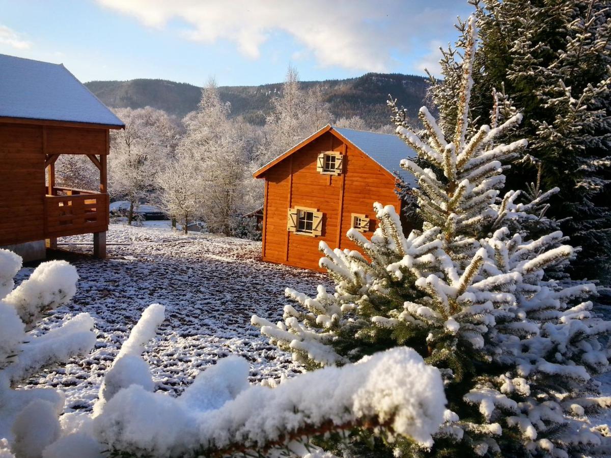 Domki KOLONIA LEŚNA z sauną i gorącą balią - B&B Radków