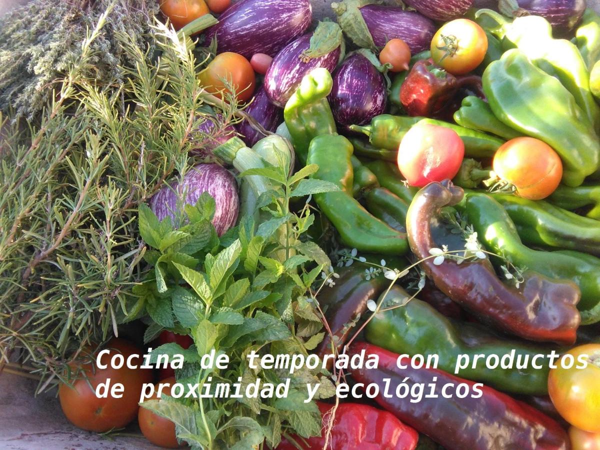Pou De Beca Allotjaments i agroturisme - B&B Vall d'Alba
