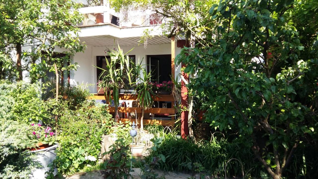 Gartenblick - B&B Zingst